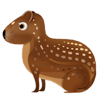 15.AaRON%20JUDGE.min